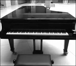 Quel est cet instrument de musique ?