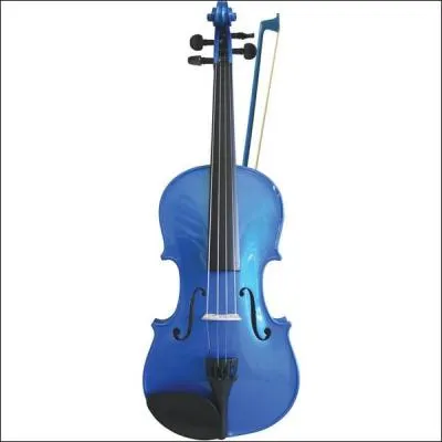 Quel est cet instrument de musique ?