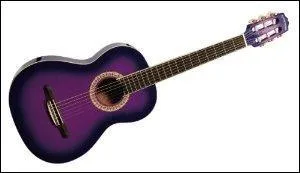 Quel est cet instrument de musique ?