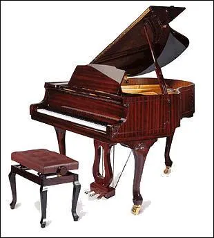 Quel est cet instrument ?