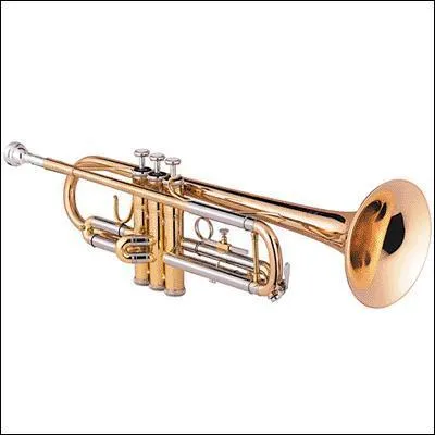 Quel est cet instrument ?