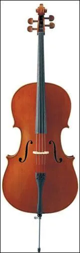 Quel est cet instrument ?