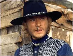 Cinéma - Dans quel western Johnny Hallyday a-t-il trouvé son premier vrai rôle au cinéma en 1969 ?