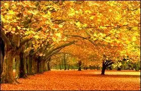 Mais si vous préférez venir en automne alors vous aurez droit à...