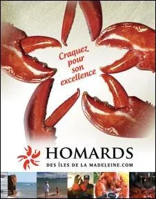 Il est légendaire, il se vend à Paris et partout dans le monde. C'est le roi des mers, j'ai nommé le homard. Au Québec nous sommes privilégiés car nous en avons à la tonne et il apparaît à la fête des mères. Mais d'où provient-il ?