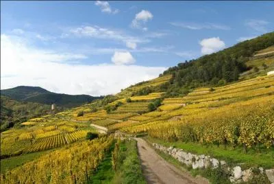 Le département du Bas-Rhin ne touche pas celui :