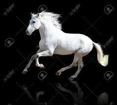 Marcel Aymé a écrit, entre autres petites merveilles, La jument verte. Mais au cinéma, qui s'occupait de la jument couleur de prairie  ?