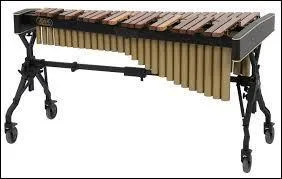 Comment s'appelle cet instrument ?