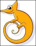 Sur quel site pouvez-vous voir ce caméléon ?