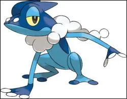 Quel est ce Pokémon ?