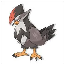 Quel est ce Pokémon ?