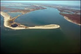 Le delta est un type d' --------.