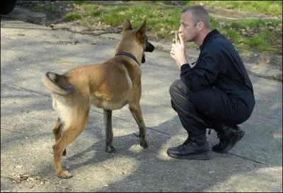 Maître-chien de patrouille. Combien faut-il de semaine de formation pour devenir moniteur ?