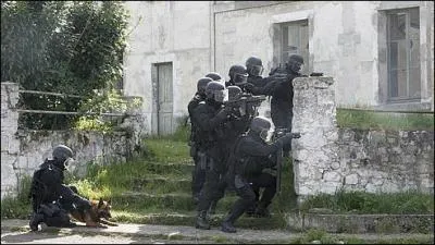 Policier en groupe d'intervention. Pour pouvoir y accéder il faut avoir (entre autres)...