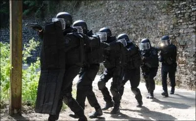 RAID signifie : « Recherche, Aide, Interpellation, Discrétion »