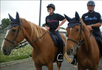 Pour pouvoir intégrer les brigades équestres, il faut avoir un niveau équestre au galop 2 (entre autres). Les brigades équestres ont été créées en