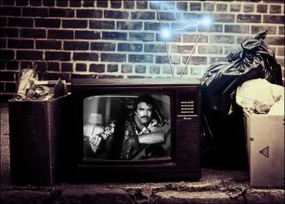 De quelle série s'agit-il ?