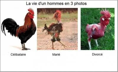 Terminez cette citation de Bernard Shaw : On compare souvent le mariage à une loterie...