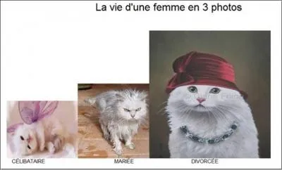 Complétez cette citation d'Helen Rowland : L'amour, la quête. Le mariage, la conquête. La nuit de noces, ... ?, le divorce, l'enquête !