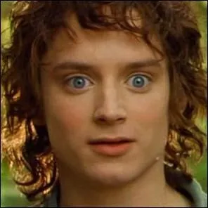 Si je m'achète une maison dans la Comté, loin du Mordor, la forme de sa porte sera ?