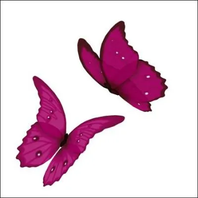 "Poulpe".Attention, vous allez être propulsé à l'arrière d'un navire !