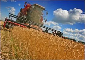 Quel est le nom de la machine utilisée pour la récolte ?