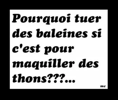 Ce produit, vomi par les baleines, est utilisé en parfumerie !