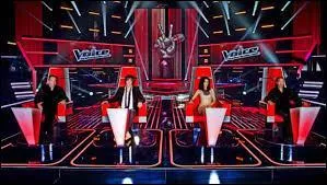C'est dans l'émission "The Voice" que les jurés se retournent à l'aide de leur fauteuil quand il choisissent une voix qui leur plaît.