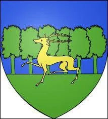 Ce blason appartient à une ville du Limousin. Vous pourrez y visiter l'hôtel des Moneyroux ou le musée de la Sénatorerie. C'est la ville de ...