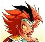 Le bijou sur le front de Gryf s'appelle un...