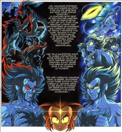 J'ai mentionné la chakounia. Et la chakounia c'est...