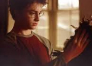 Quiz Harry Potter et le prisonnier d'Azkaban (Chapitre 4)
