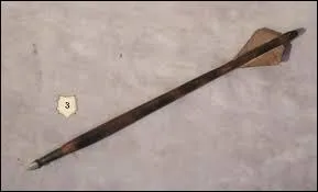 Le quolibet est aussi ---------.