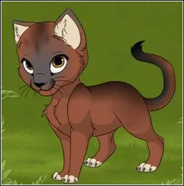 Nuage de Musaraigne se fait tuer par un monstre. Mais que faisait-il sur le chemin du Tonnerre ?