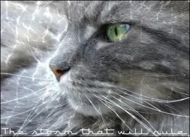 Petite Bulle et Petit Matin sont morts une lune après leur naissance. Qui était leur mère ?