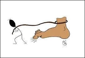 Ils se déplacent aussi différemment tant leur souplesse leur permet l'adaptation à tous les milieux. 
Que font-ils ici ?