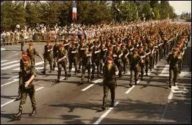 Bien ordonnés, bien alignés, comme pour construire une syntaxe bien maîtrisée, que forment-ils ?