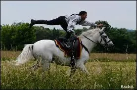 Hardis et téméraires, bravant le danger, de quoi sont-ils sont capables ?