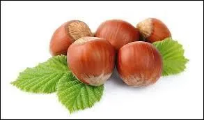 Personnellement, je les trouve un peu casse...noisettes !