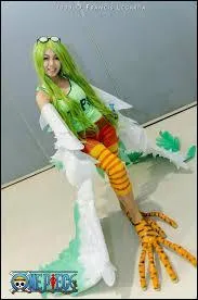 Quel est ce cosplay ?