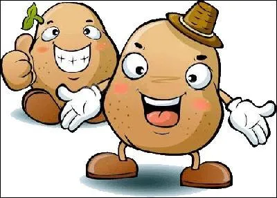 Fines rondelles de pommes de terre, frites et salées.