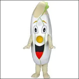 Dans le nord de la France et en Belgique, endive.