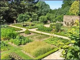 Pour quelle raison certaines plantes de ce jardin pourraient-elles s'appliquer à un intuitif, un individu spontané qui se manifeste par son naturel ?