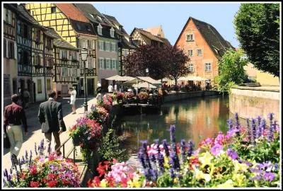 Dans le Haut-Rhin, vous ne trouverez pas :