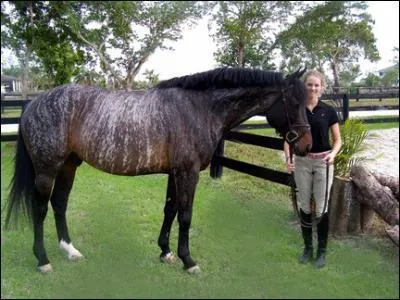 De quelle robe rare est ce cheval ?