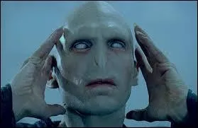 Le patron des mangemort est ......