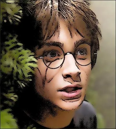 Quel cadeau Harry reçoit-il pour ses 17 ans, comme l'exige la tradition ?