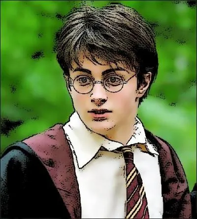 Dans le septième tome, avant Ron Weasley, avec qui Harry avait-il momentanément rompu tout lien d'amitié ?