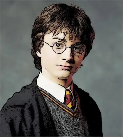 Harry risque sa vie pour sauver son ennemi : bravoure digne d'un Gryffondor. Quel aurait été le sort de Malefoy ?