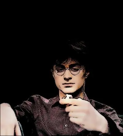 Que se passe-t-il le jour des 12 ans d'Harry Potter ?